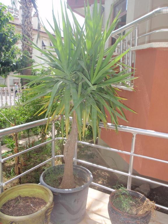 Aloe Apart Hotel Marmaris Eksteriør bilde